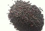 Black rice extract 